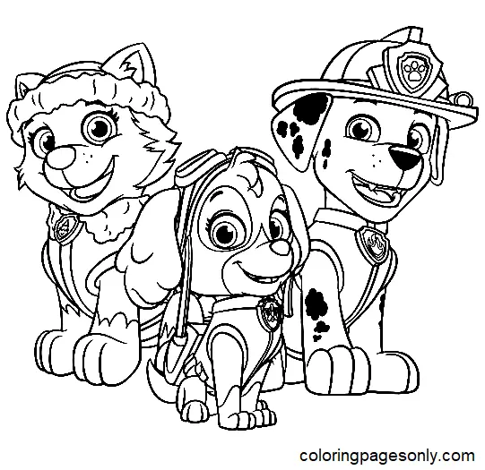 Marshall Patrulla Canina Para Colorear 28