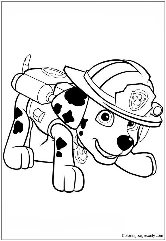 Marshall Patrulla Canina Para Colorear 46