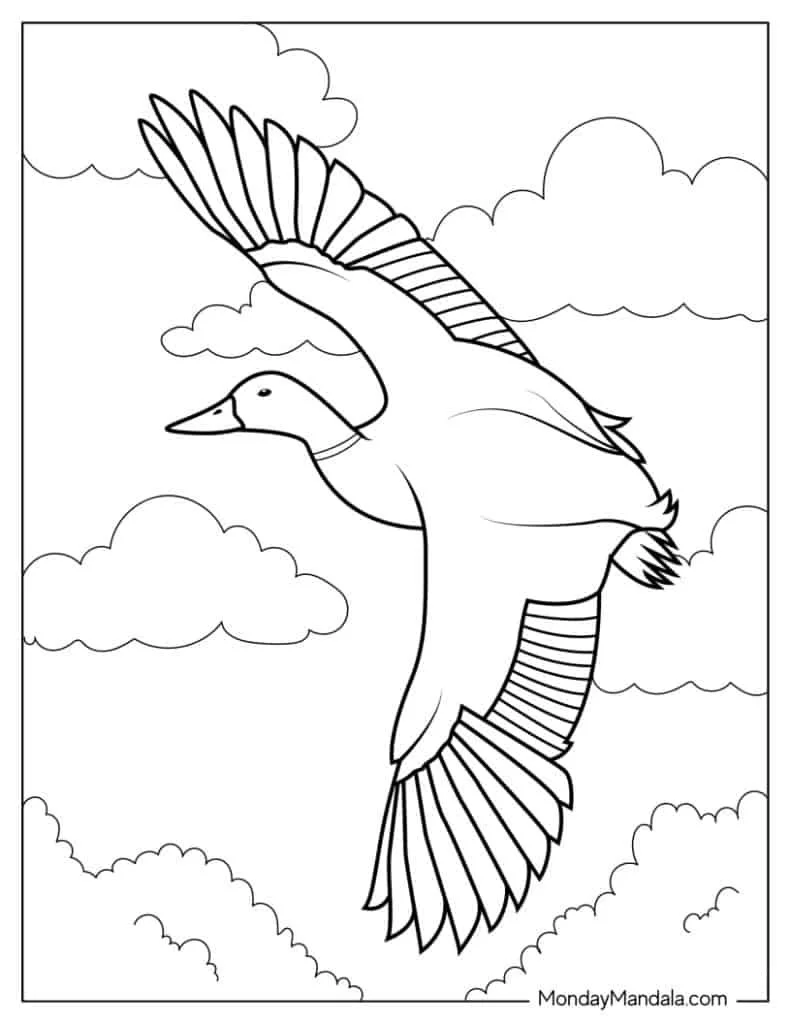 Migracao Para Colorir 10