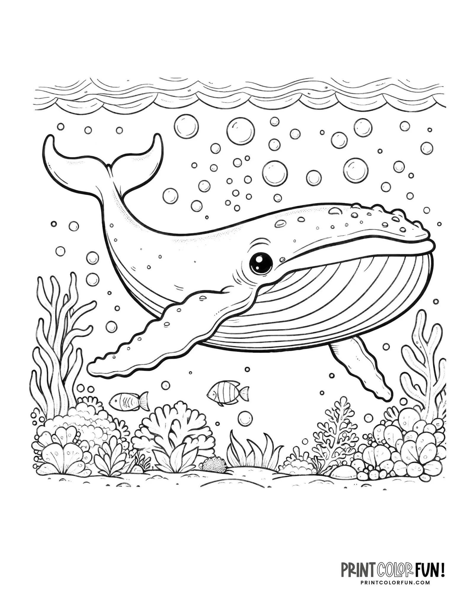 Migration Coloring Pages 19