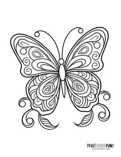 Migracao Para Colorir 27