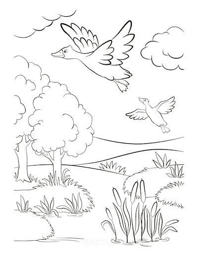 Migracao Para Colorir 3
