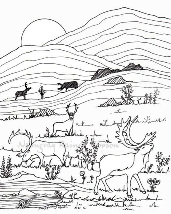 Migracao Para Colorir 9