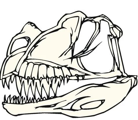 Verschiedene Dinosaurier Ausmalbilder 10