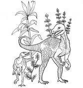 Verschiedene Dinosaurier Ausmalbilder 7