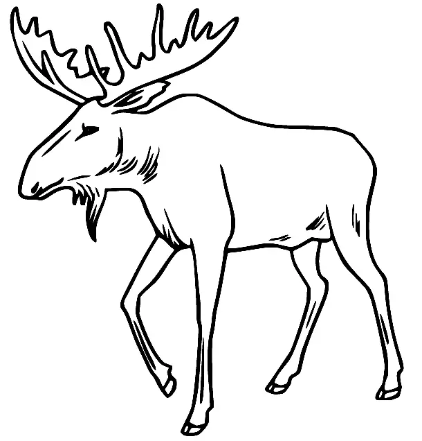 Desenhos de Alce Para Colorir 14