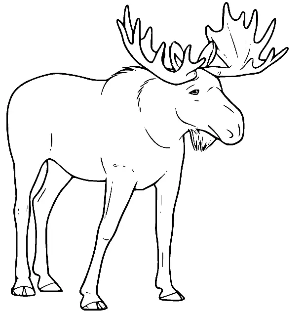 Desenhos de Alce Para Colorir 18