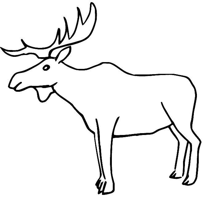 Desenhos de Alce Para Colorir 2
