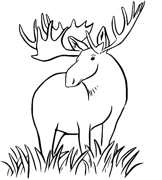 Desenhos de Alce Para Colorir 40