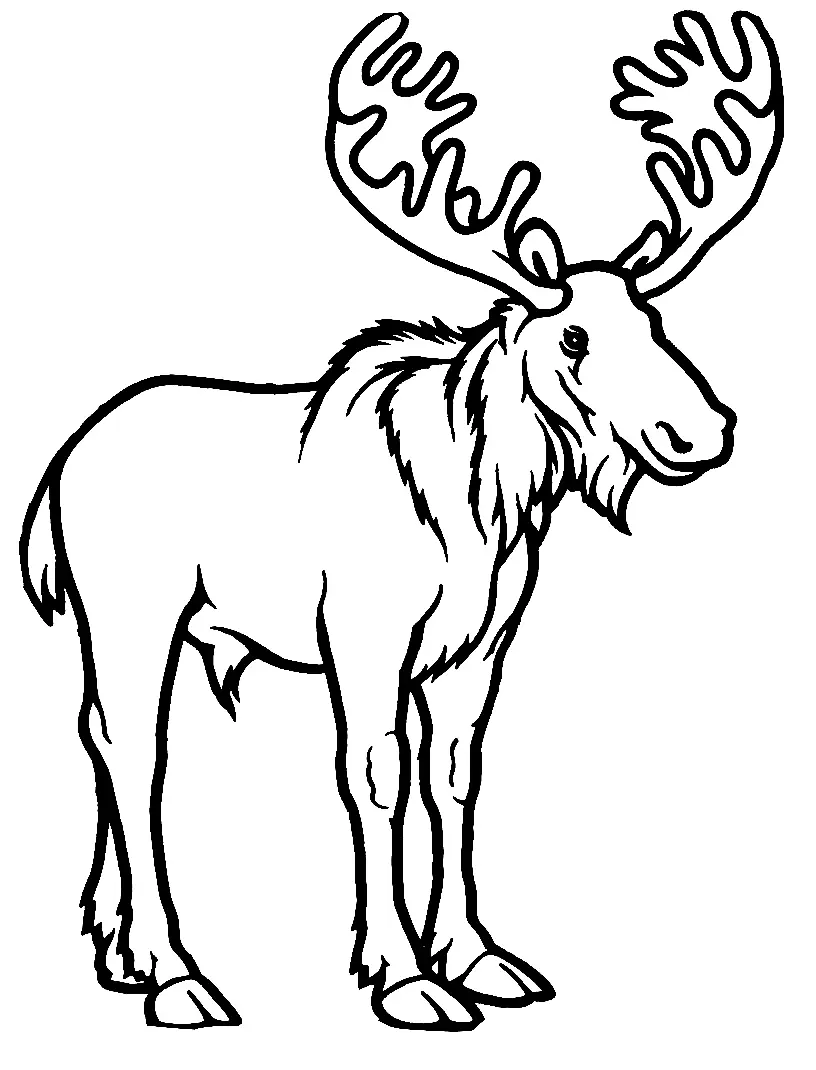 Desenhos de Alce Para Colorir 5