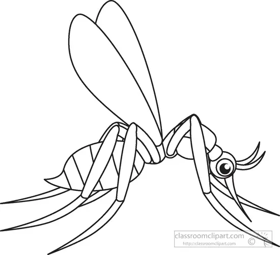 Mosquito Coloring Pages 1