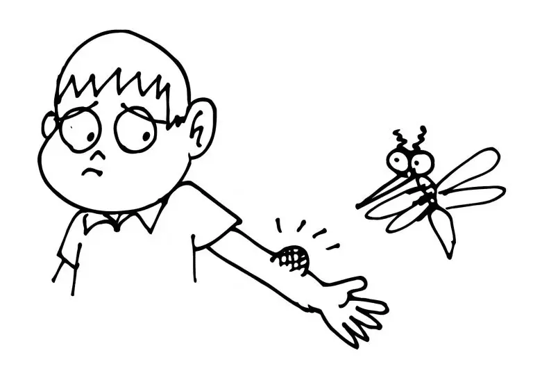 Mosquito Coloring Pages 24
