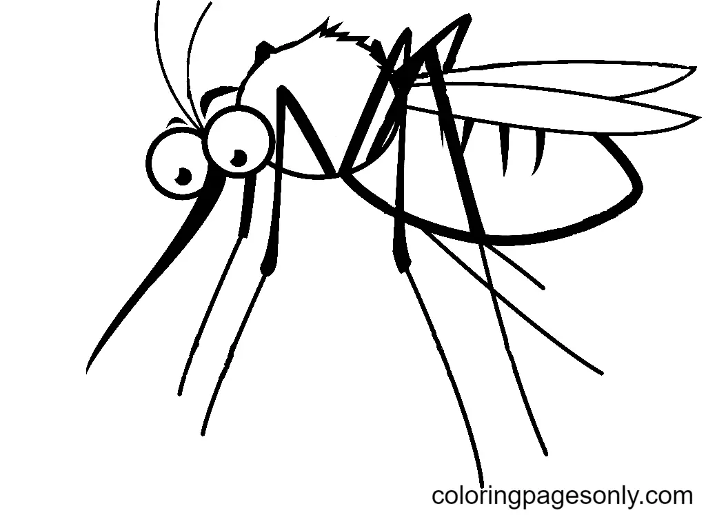 Mosquito Coloring Pages 4