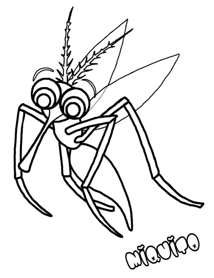 Mosquito Coloring Pages 9