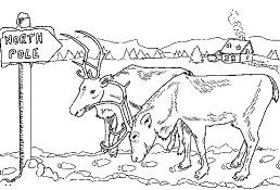 North and South poles Coloring Pages 20