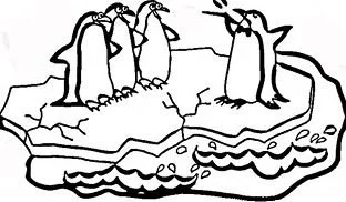 Desenhos de Polos Norte E Sul Para Colorir 27
