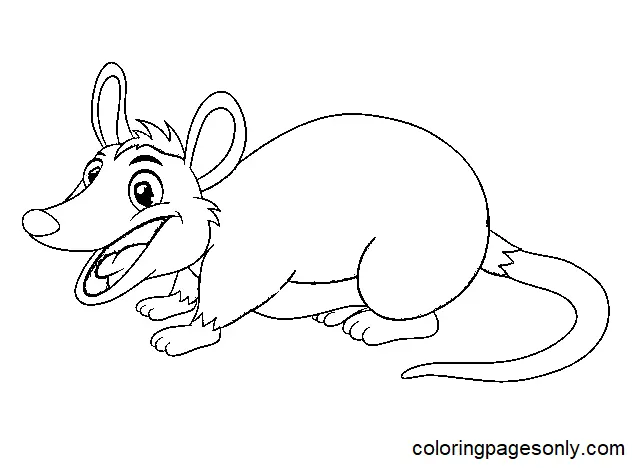 Opossum Coloring Pages 7