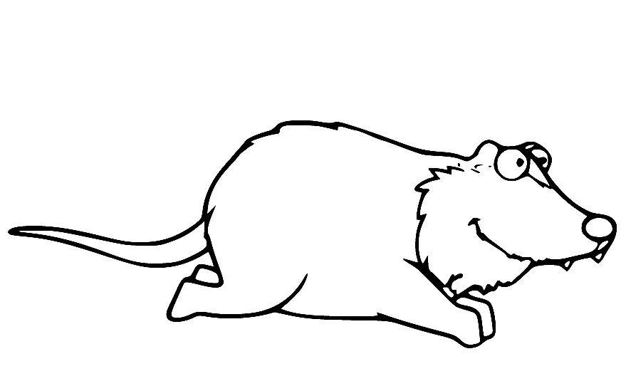 Opossum Coloring Pages 9