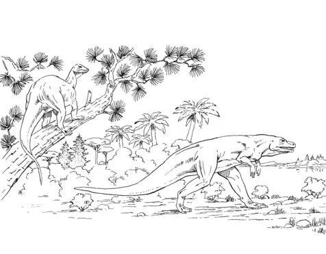 Desenhos de Dinossauros Ornitisquios Para Colorir 5