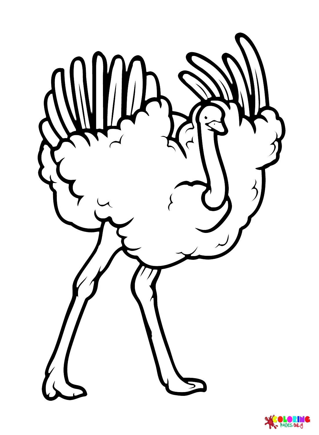 Desenhos de Avestruz Para Colorir 13
