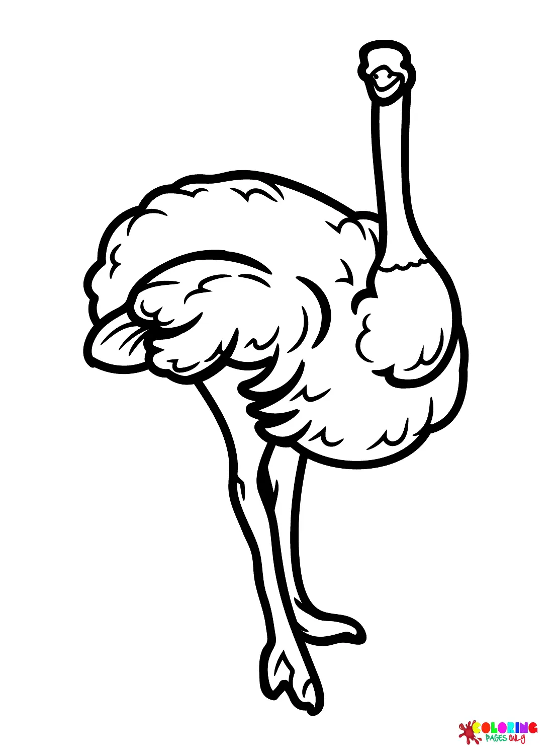 Desenhos de Avestruz Para Colorir 39