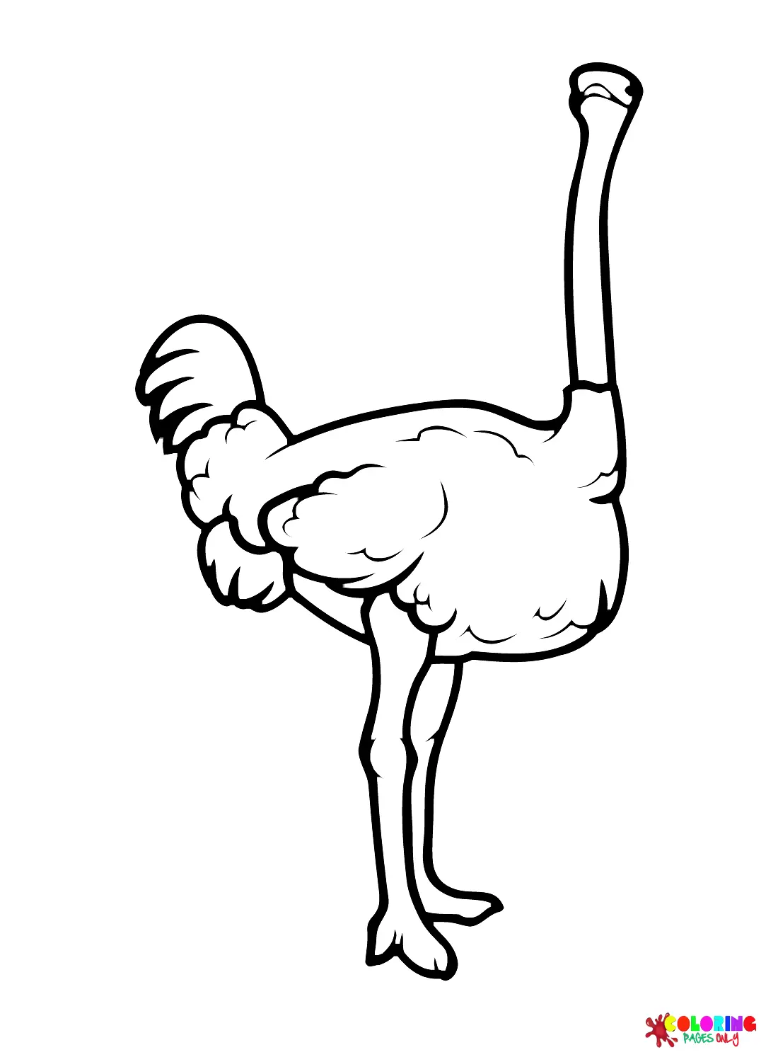 Desenhos de Avestruz Para Colorir 7