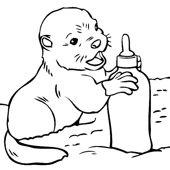 Otter Ausmalbilder 16