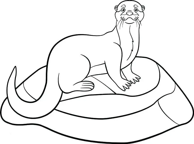 Desenhos de Lontras Para Colorir 20