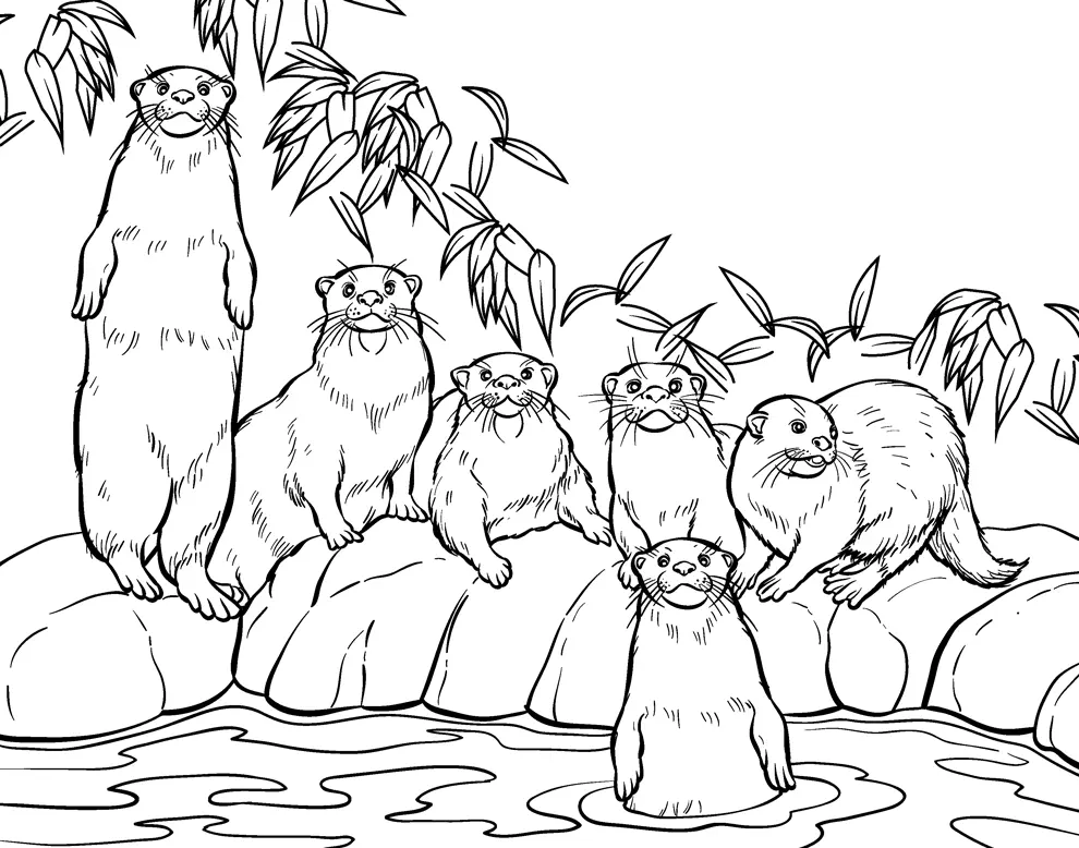Otter Coloring Pages 72