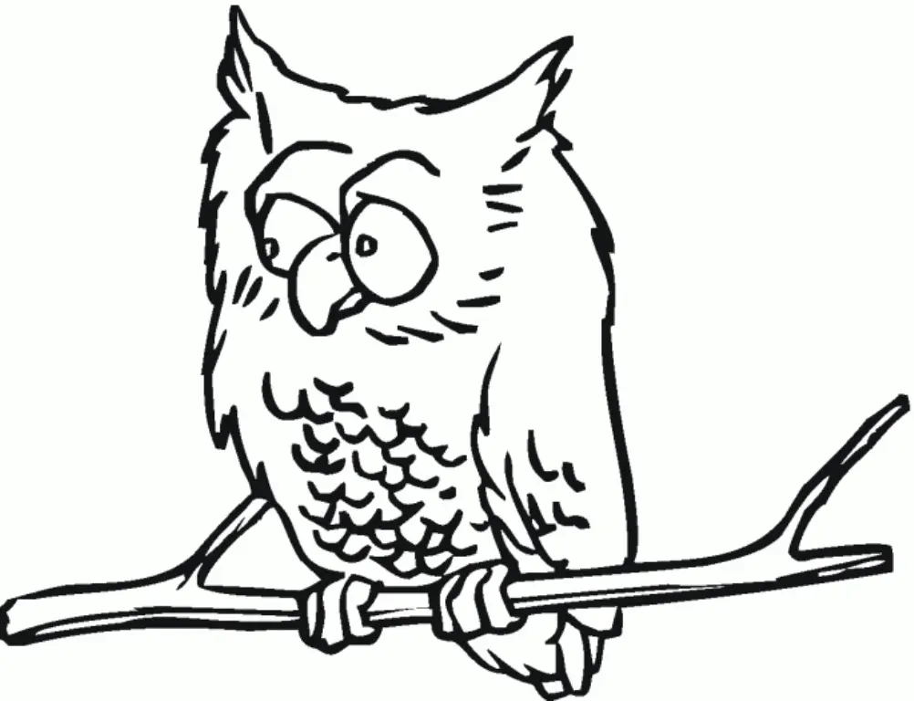 Desenhos de Coruja Para Colorir