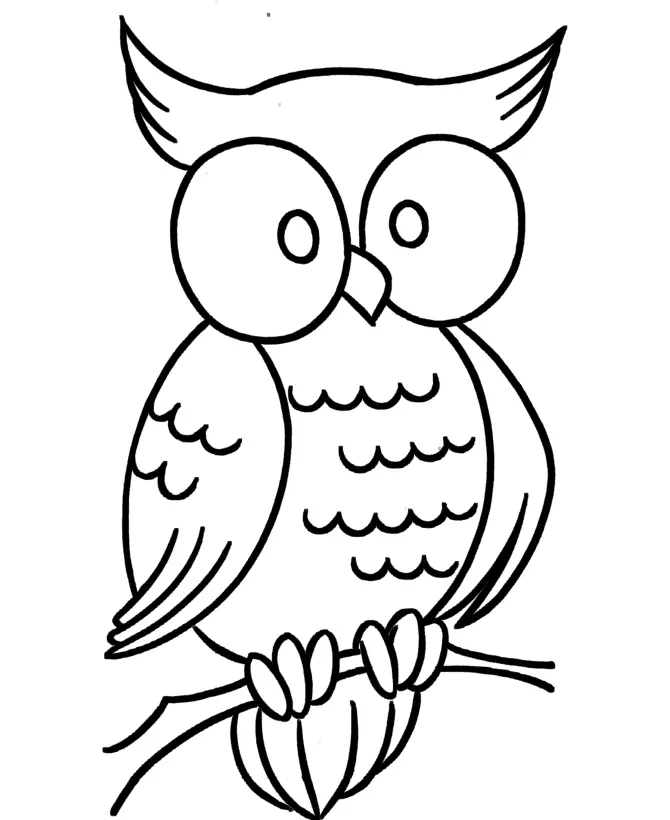 Owl Coloring Pages 5