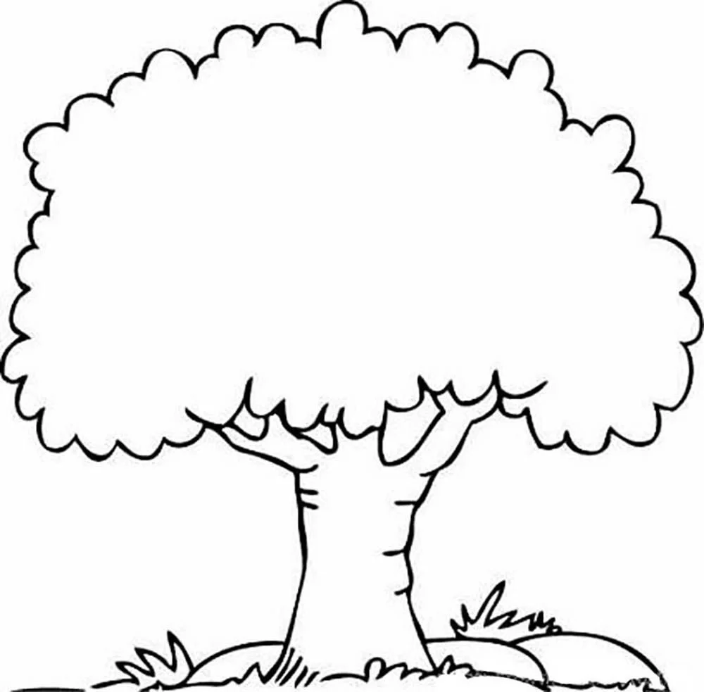 Palm Tree Coloring Pages 27