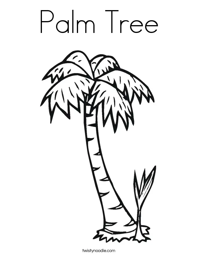 Palm Tree Coloring Pages 5