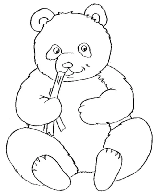 Panda Coloring Pages 20