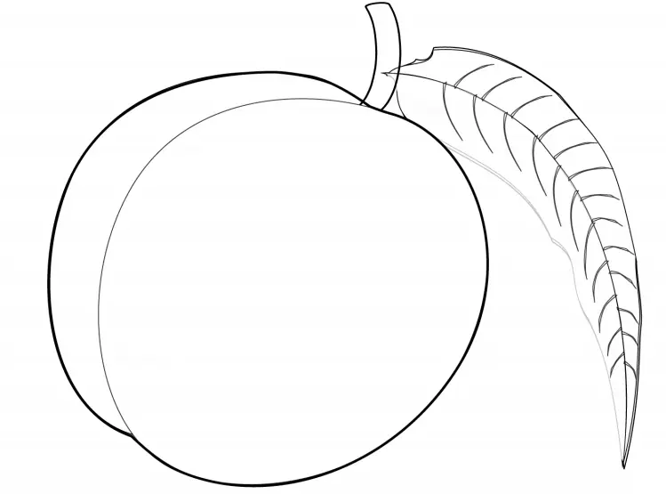 Desenhos de Peach Para Colorir 21