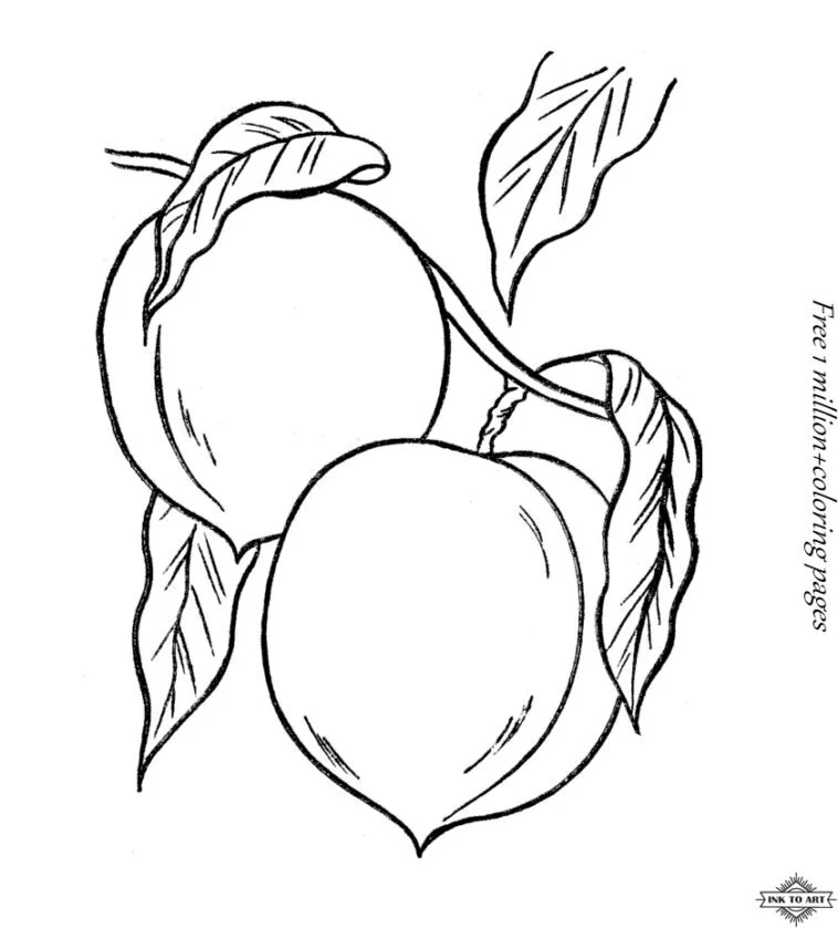 Desenhos de Peach Para Colorir 25