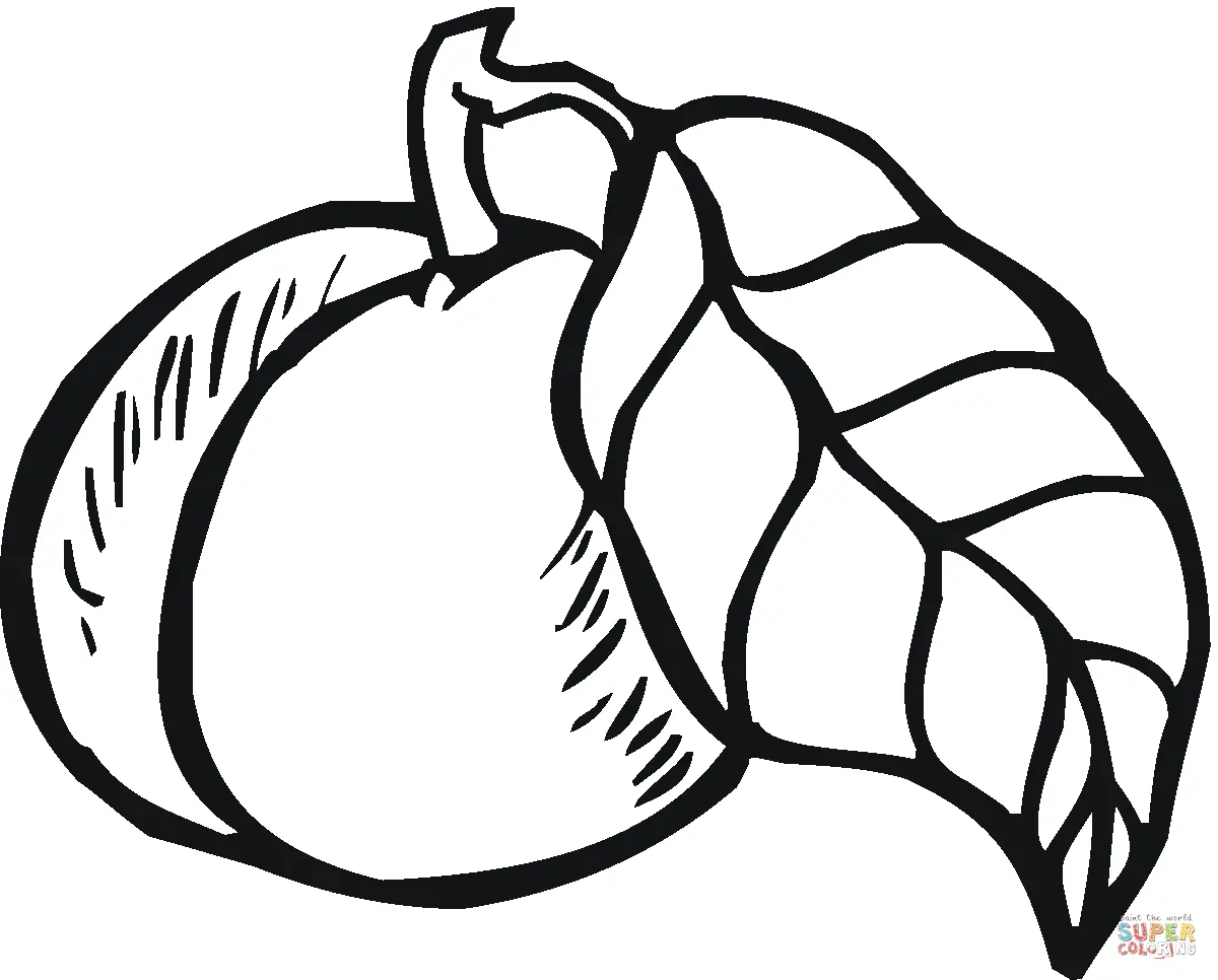 Desenhos de Peach Para Colorir 29