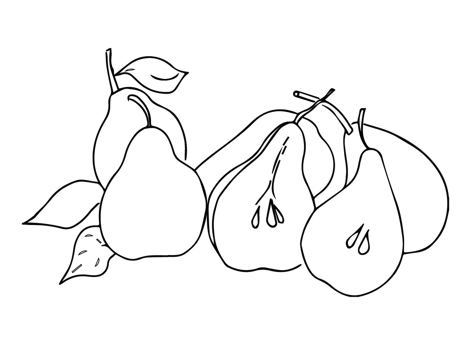 Birnen Ausmalbilder 3
