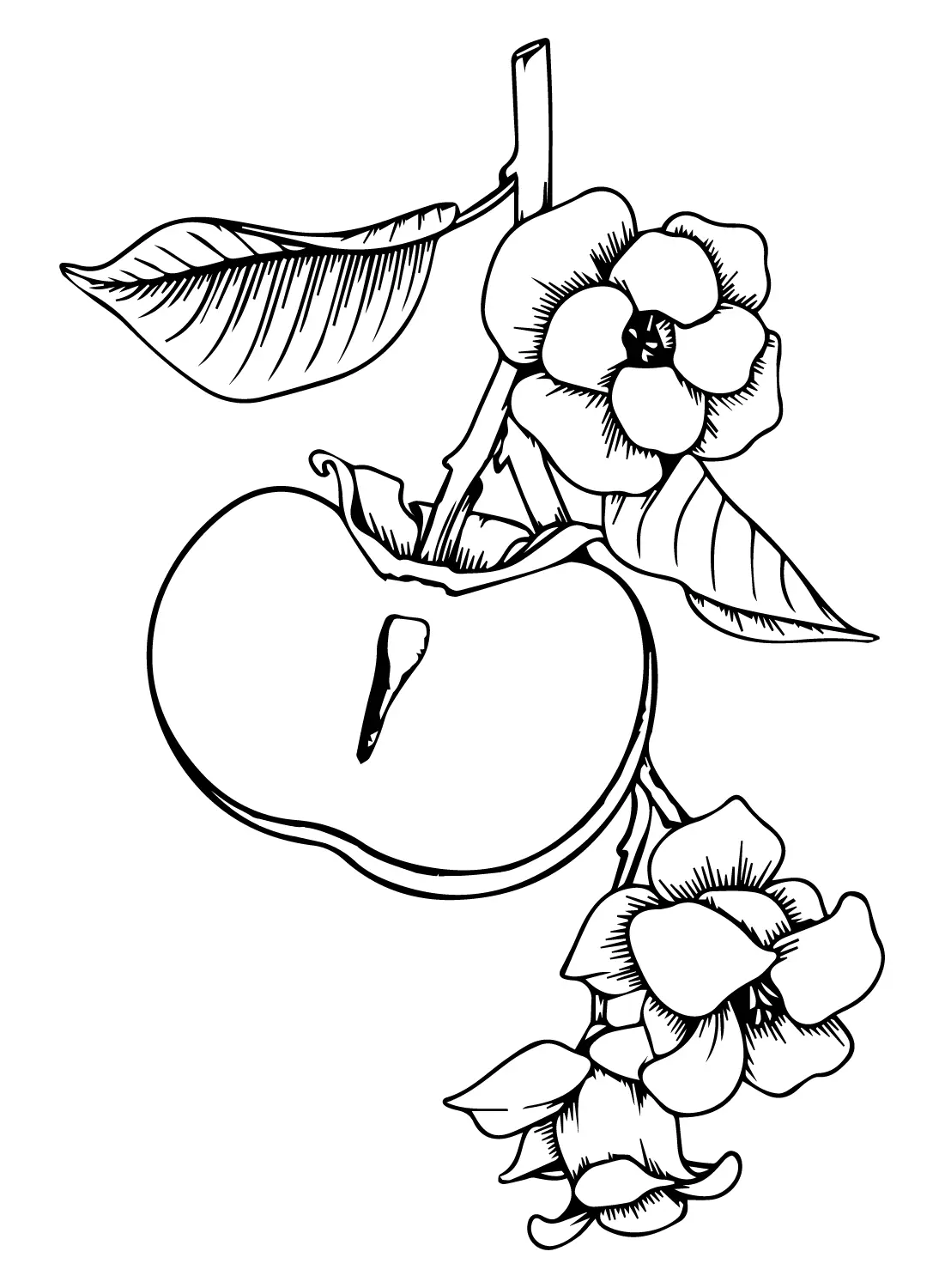 Persimmon Coloring Pages 11