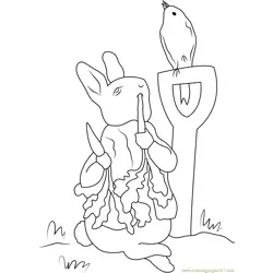 Peter Rabbit Paginas para Colorir 4