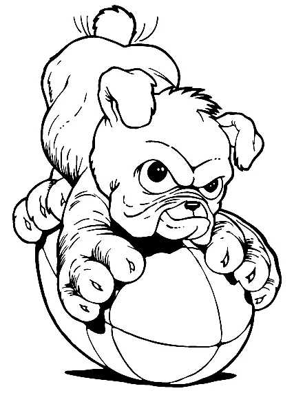 Mascotas Para Colorear 21