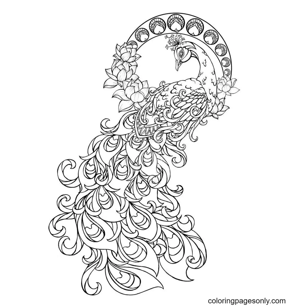 Desenhos de Fenix Para Colorir 12