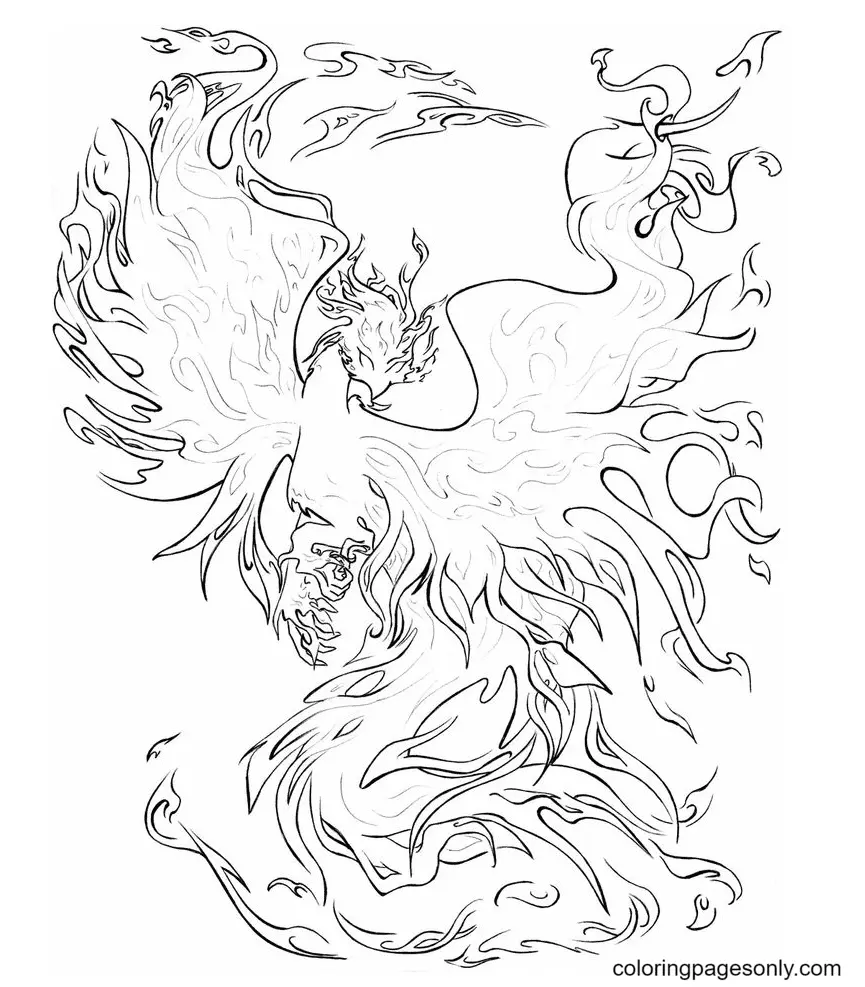 Desenhos de Fenix Para Colorir 13