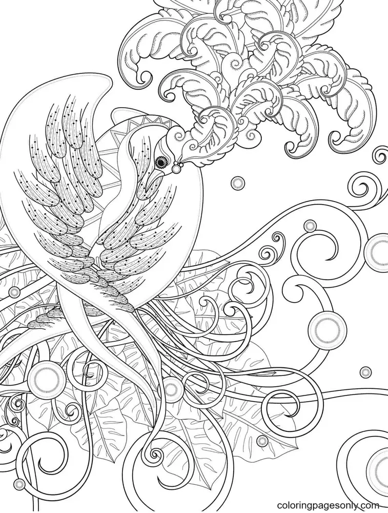 Desenhos de Fenix Para Colorir 21