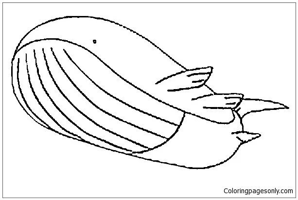 Desenhos de personagens Pokemon Para Colorir 71