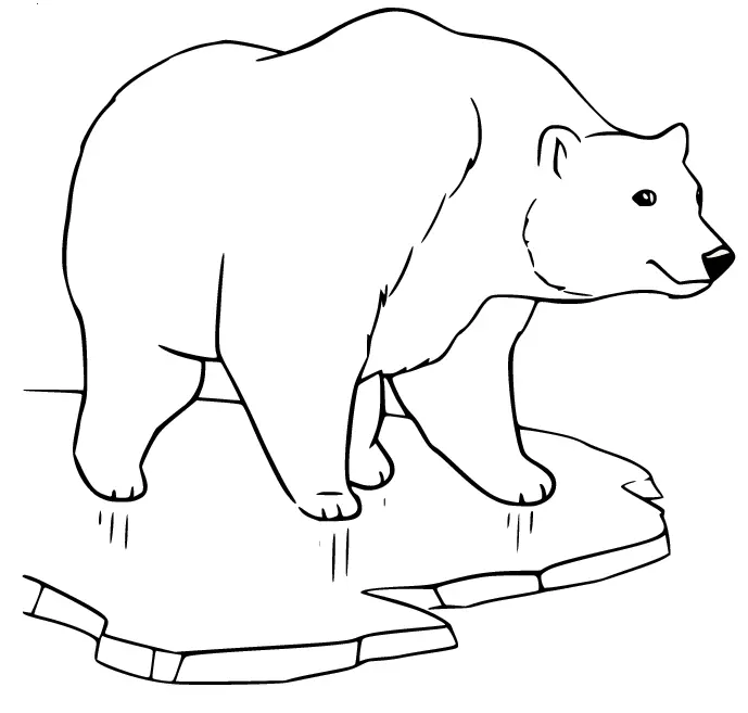 Polar Bear Coloring Pages 6