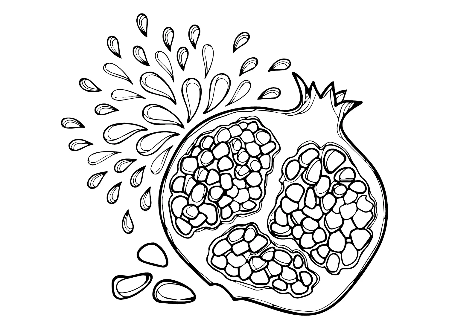 Pomegranate Coloring Pages 23
