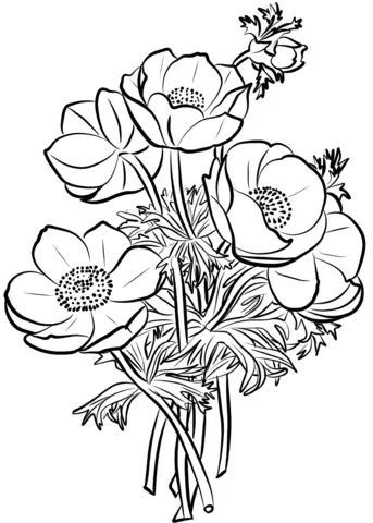 Ausmalbilder von Mohnblumen 3