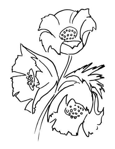 Ausmalbilder von Mohnblumen 32
