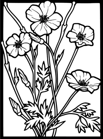 Ausmalbilder von Mohnblumen 5
